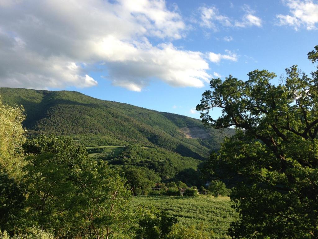 아시시 Agriturismo Nizzi 빌라 외부 사진